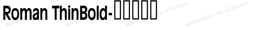 Roman ThinBold字体转换